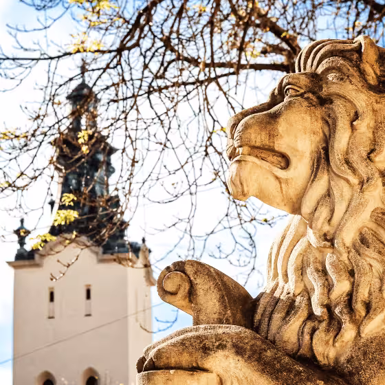 the white lion of lviv with the cathedral of the assumption of the virgin mary in the background
