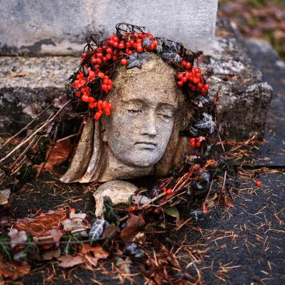 the head of a broken sculpture in lychakiv cemetery lviv