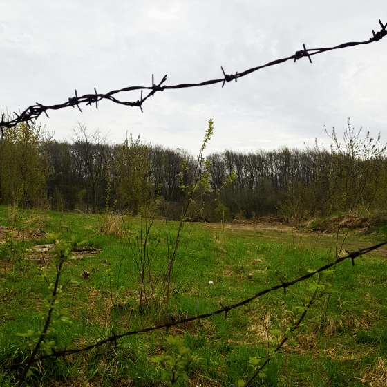 a former mass execution site near lysynychi forest south east of lviv