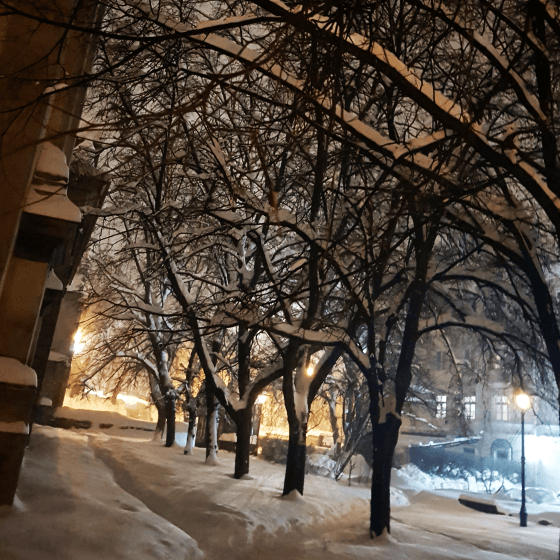 snowy lviv in winter with a traditional street light illuminating the gloom