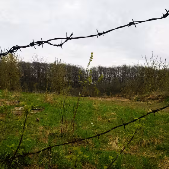 a former mass execution site near lysynychi forest south east of lviv