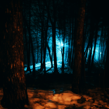 lviv tour entitled fruits of lviv