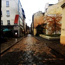 half day lviv tour by in lviv tours