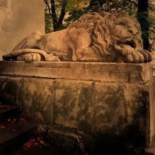 lviv lion hunt by in lviv tours