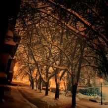 lviv nightlights by in lviv tours