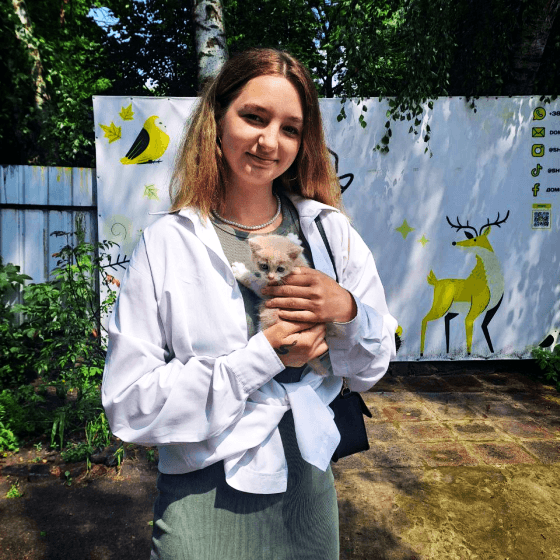 a volunteer helping a cat rescued from war at a lviv animal shelter in ukraine